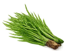 Flexaten — Estratto di equiseto (coda cavallina), 7% silice
